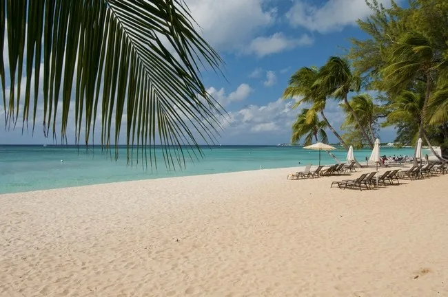 Seven Mile Beach in Grand Cayman with lounge chairs and palm trees. 