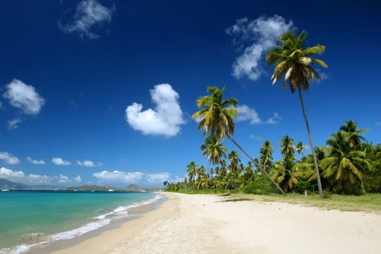 Pinneys Beach on Nevis with beautiful waters, white sand and palm trees. 