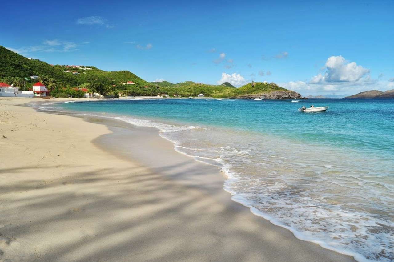 On St. Barts, azure water, white sand and a hungry turtle